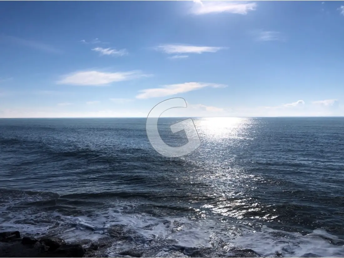 Maison de Vacances La Tranche-sur-Mer 688