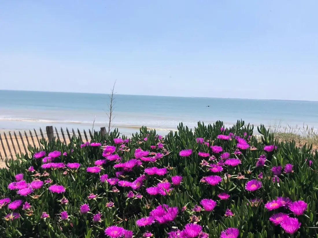 Maison de Vacances La Tranche-sur-Mer 858