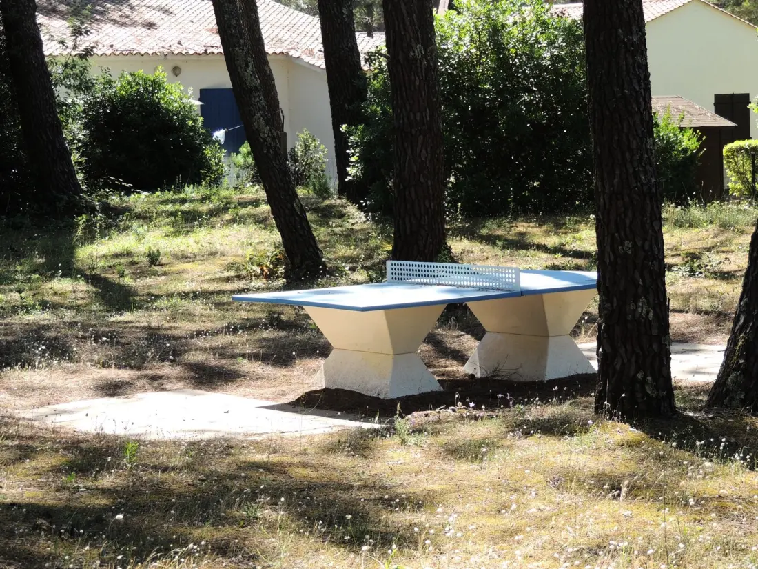 Maison de Vacances La Tranche-sur-Mer 872