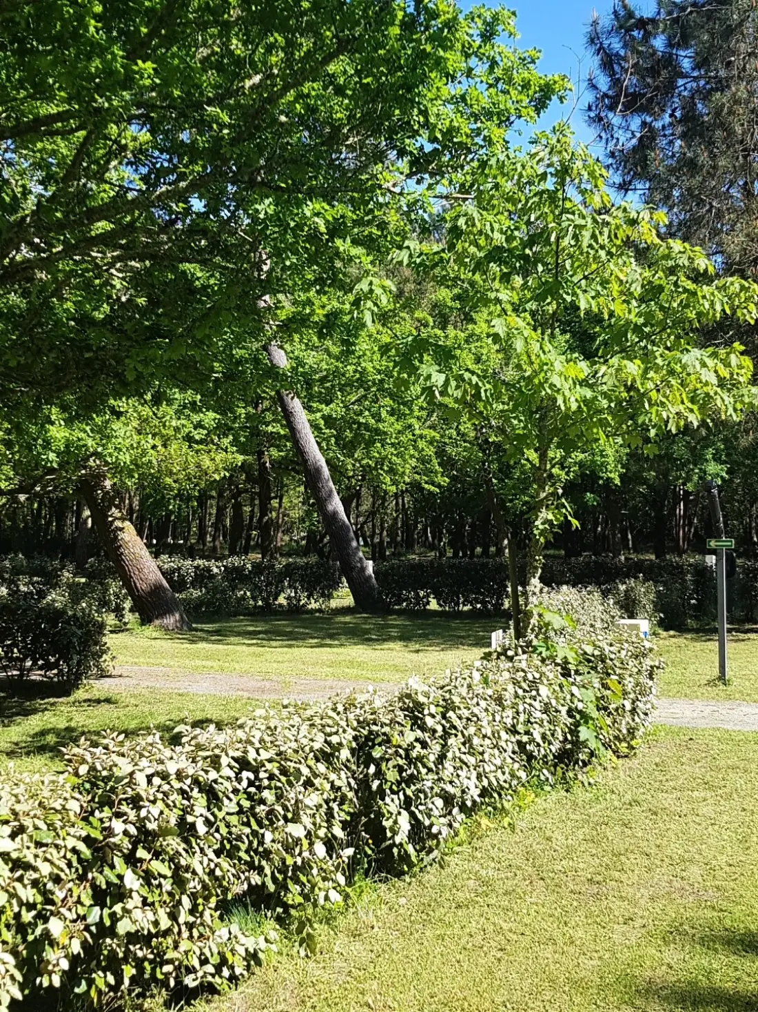 Camping maeva Club La Clairière - La Tremblade 4 étoiles★★★★