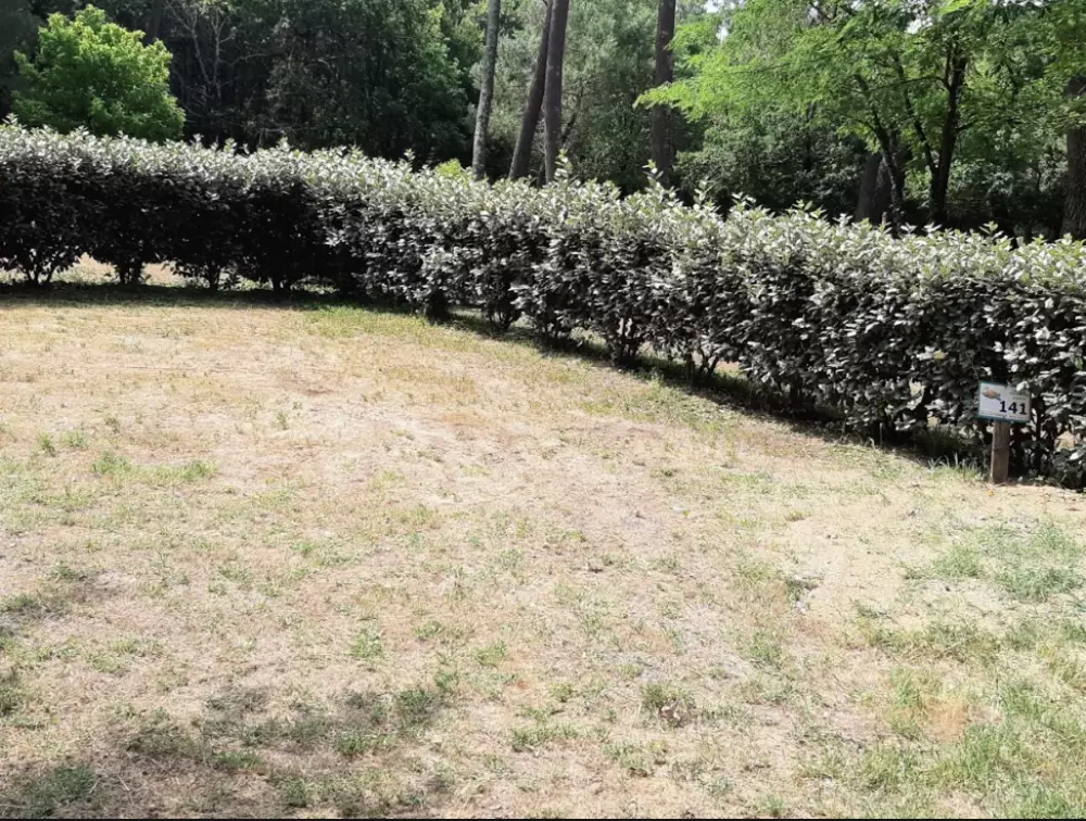 Camping maeva Club La Clairière 4 étoiles★★★★