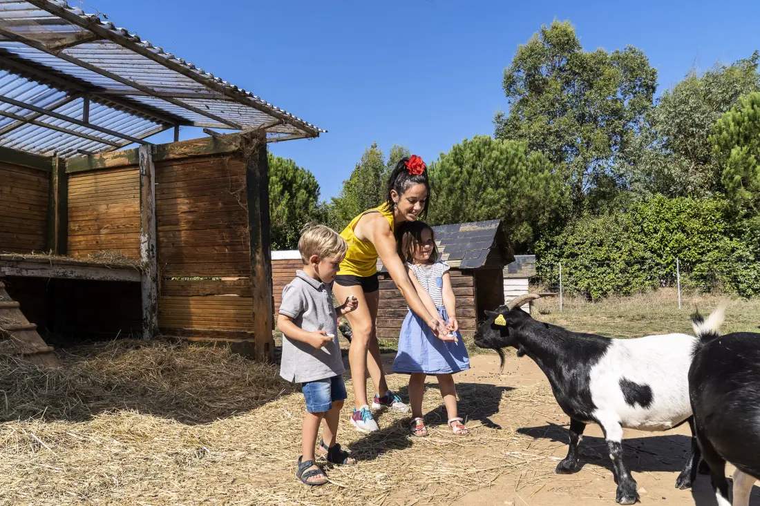 Camping Sandaya Sequoia Parc5 étoiles★★★★★