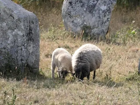 Camping Plijadur 4 étoiles★★★★