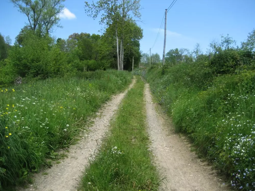 Maison de Vacances LA TUILIERE