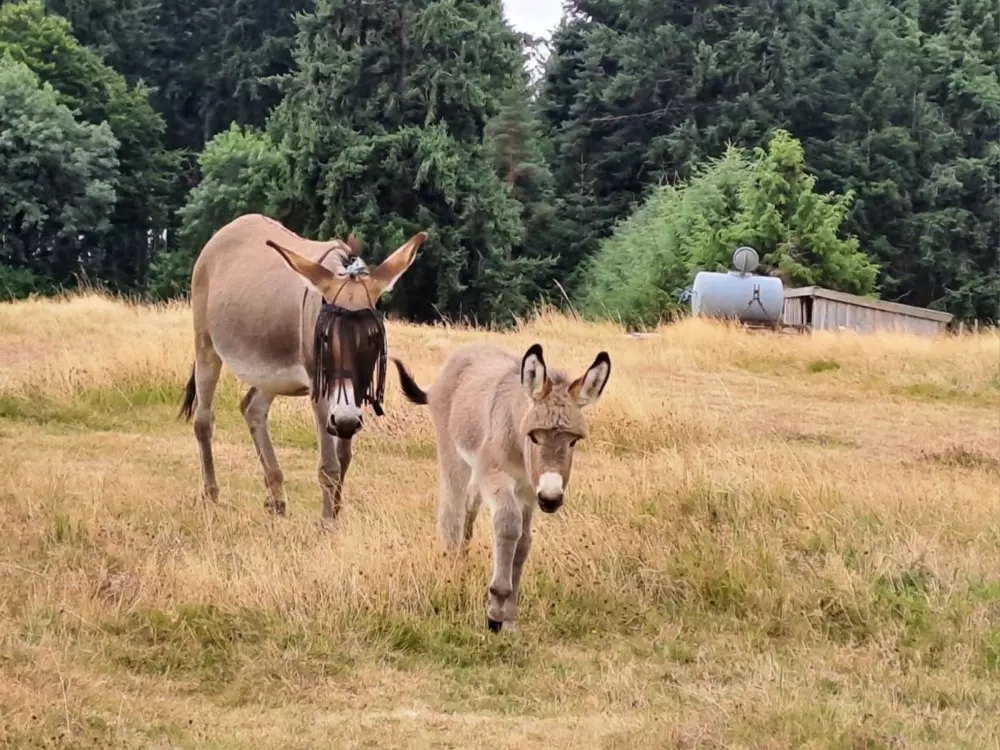 Maison de Vacances LA TUILIERE
