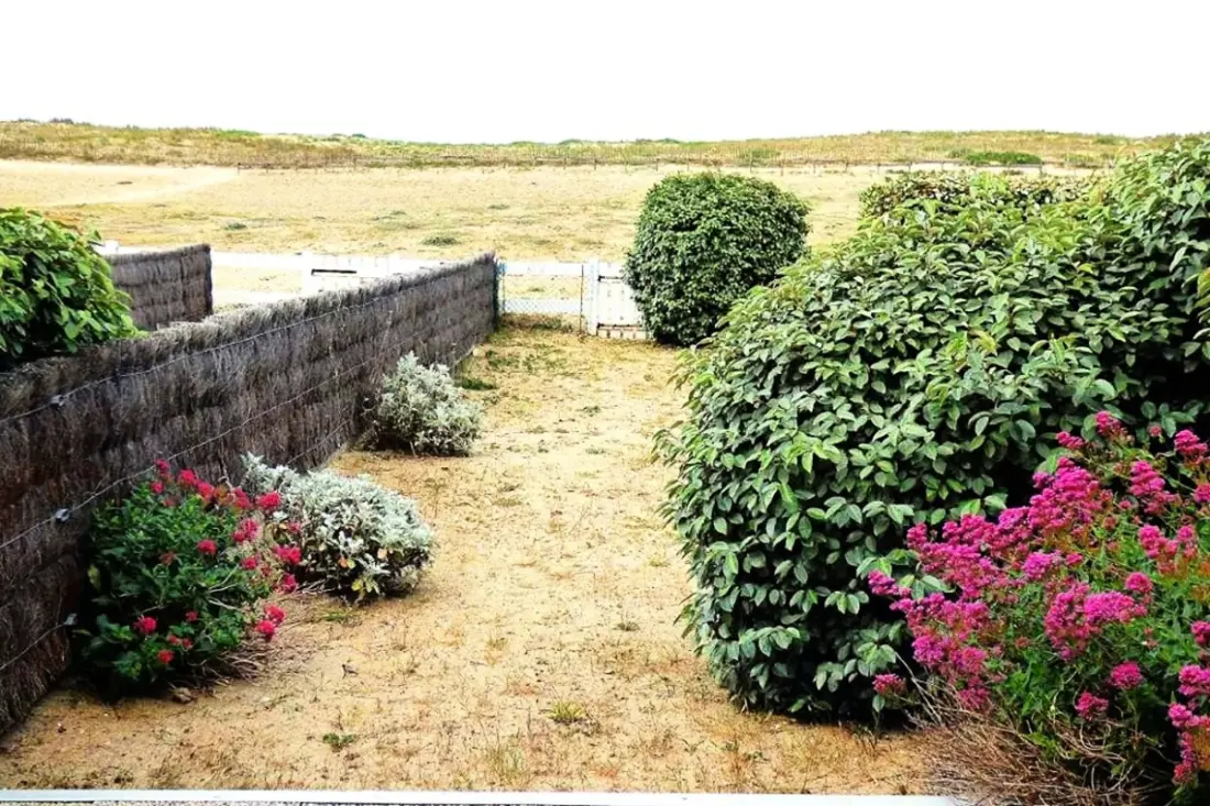 Appartement Avec Accès Direct Plage