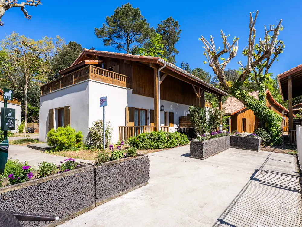 Appartements à Lacanau