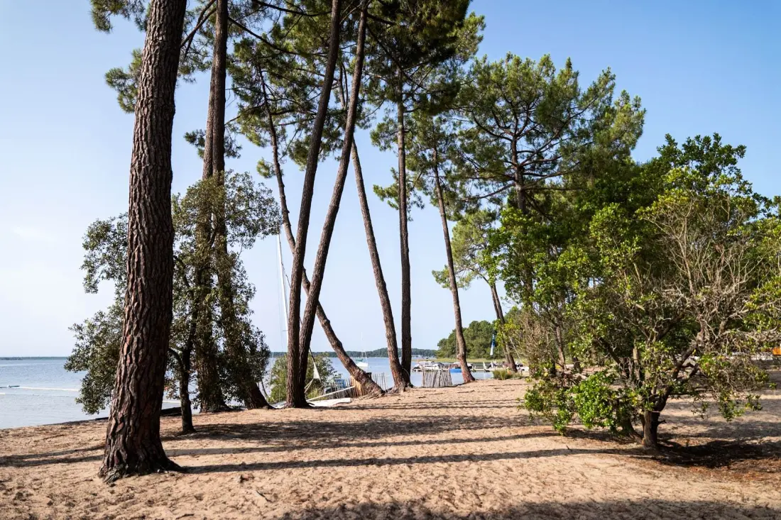 Camping Liberté Lacanau3 étoiles★★★