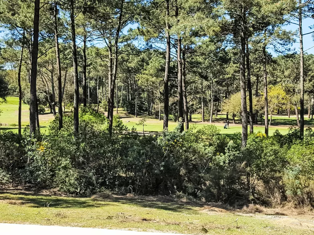 Maison de Vacances Lacanau