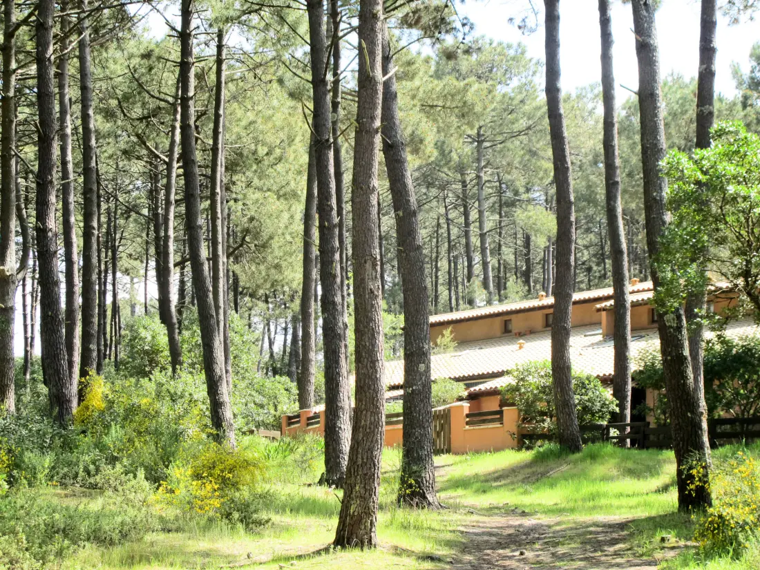 Maison de Vacances Lacanau