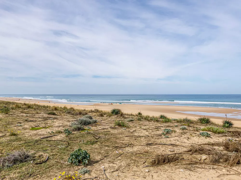 Résidence Les Maisons de l'Océan
