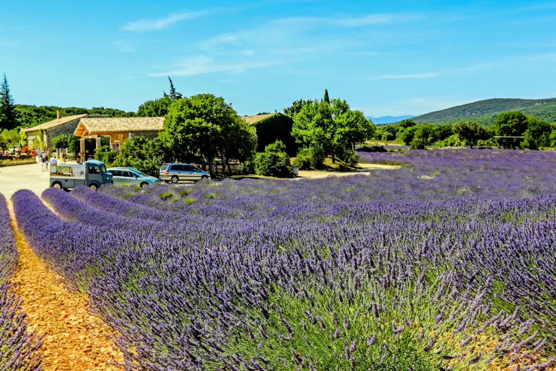 Camping Chadeyron 4 étoiles★★★★