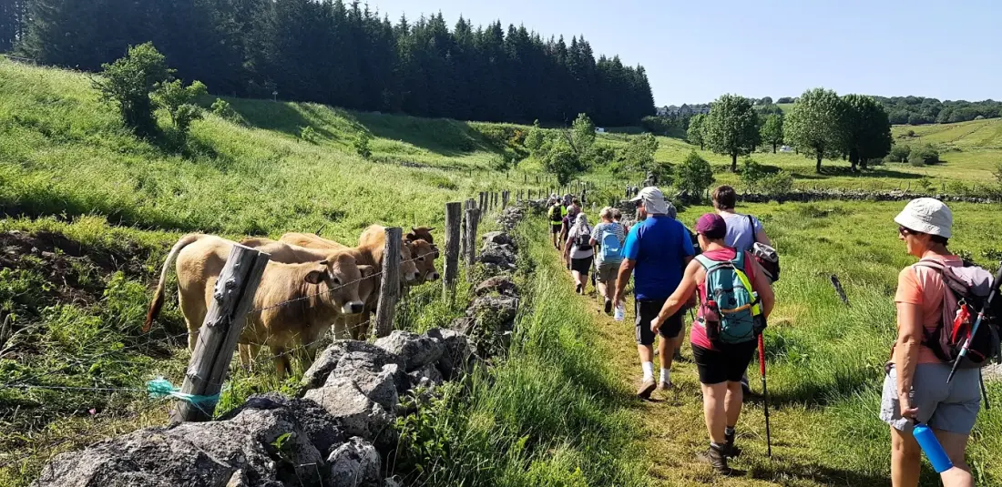 Résidence Fleurs d'Aubrac3 étoiles★★★