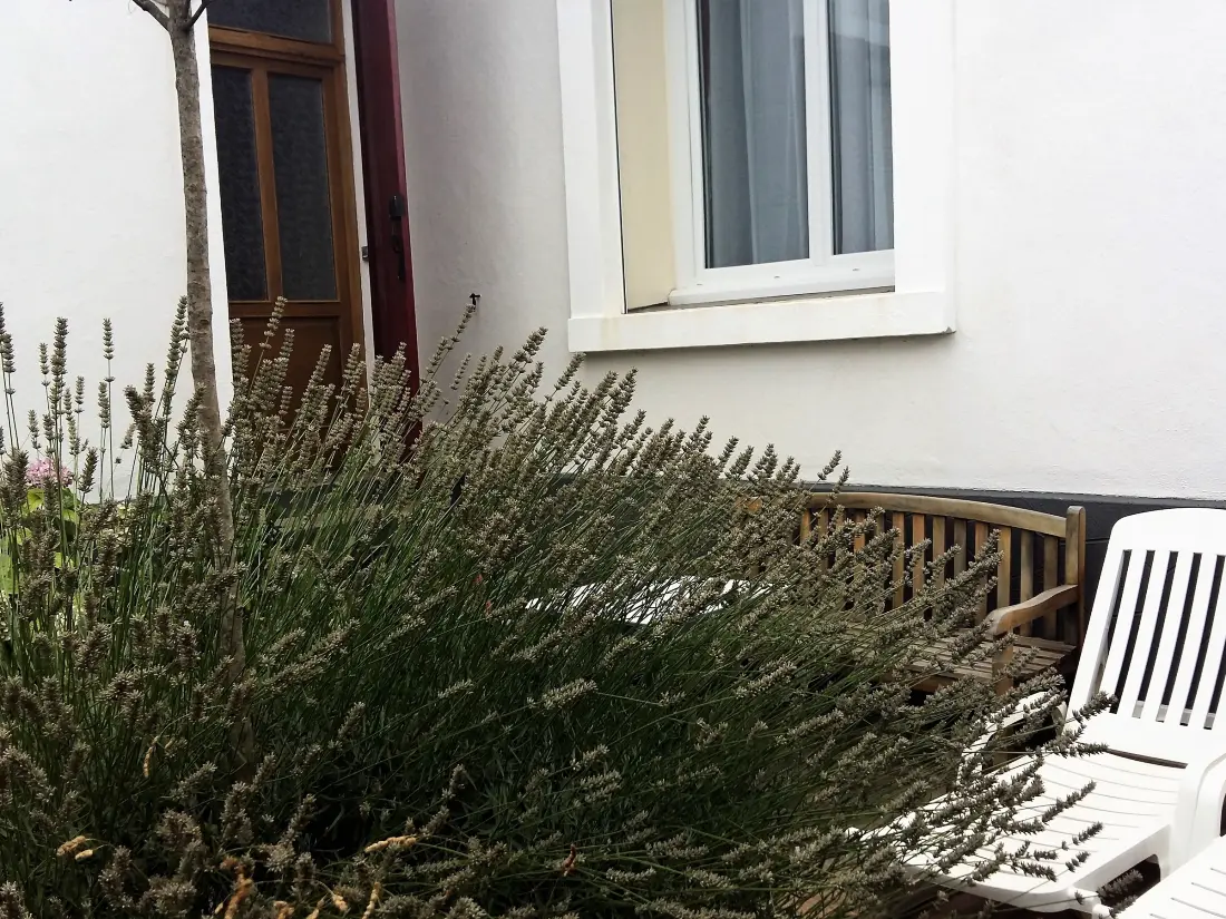 Location de Vacances Lamalou-les-Bains 13