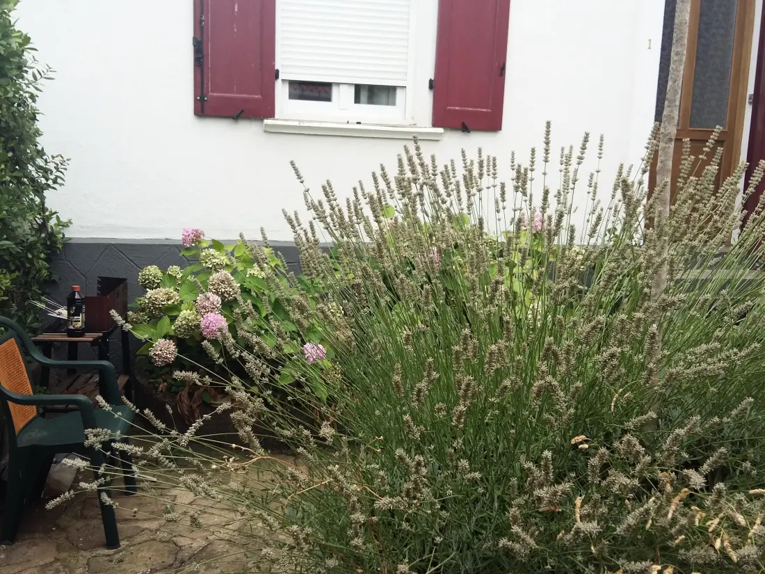 Location de Vacances Lamalou-les-Bains 13