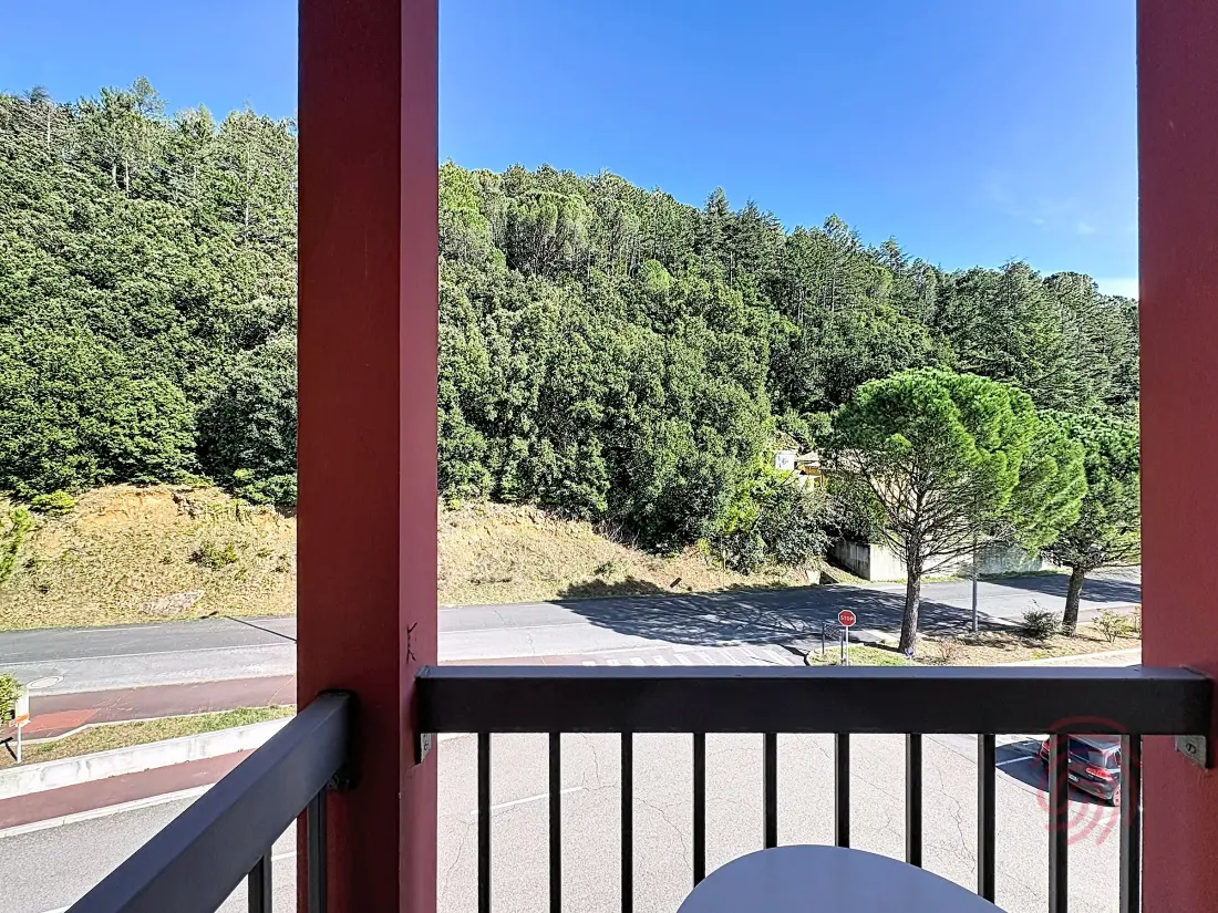 Location de Vacances Lamalou-les-Bains 215