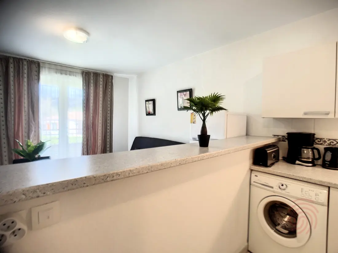 Location de Vacances Lamalou-les-Bains 216