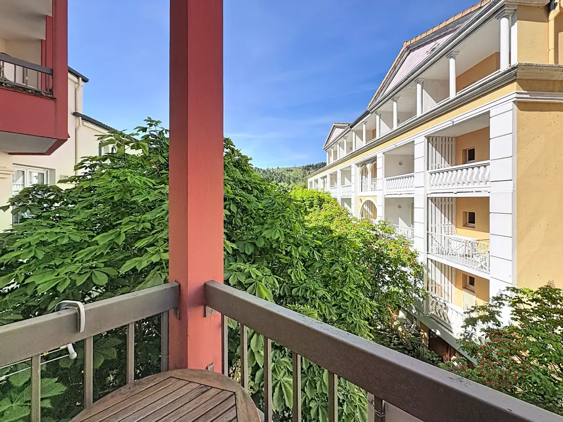 Location de Vacances Lamalou-les-Bains 220