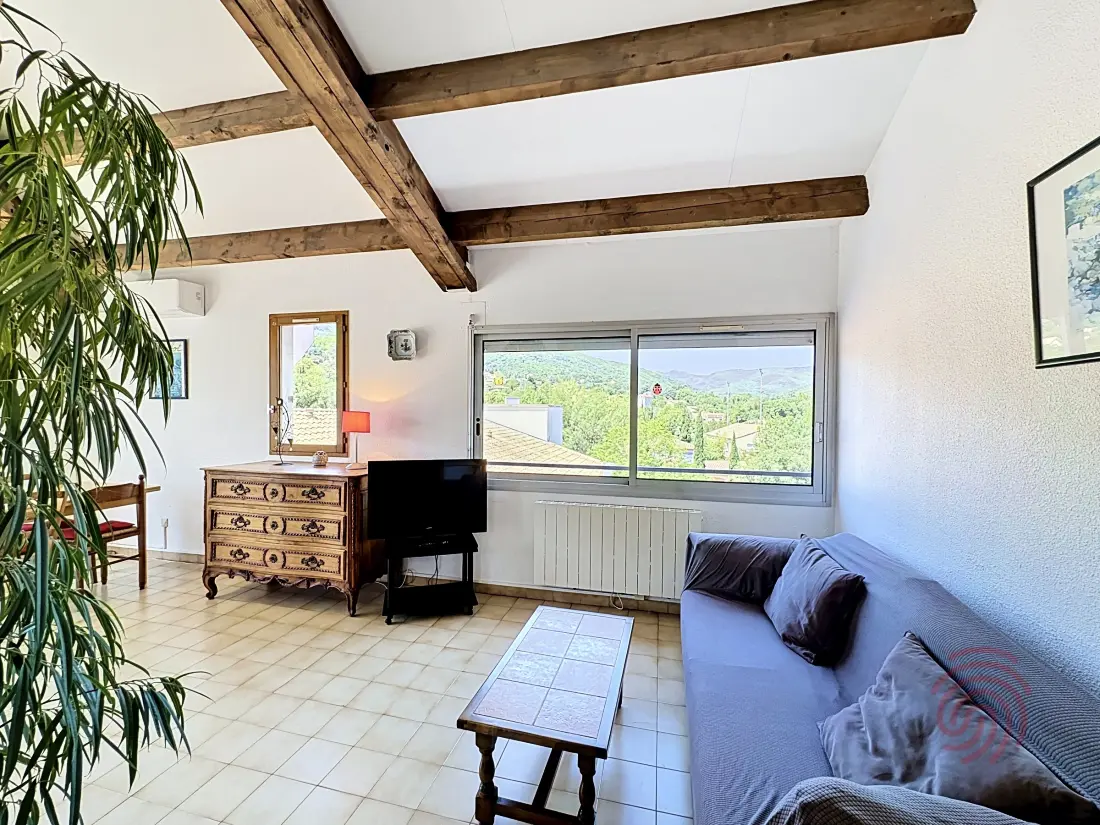 Location de Vacances Lamalou-les-Bains 222