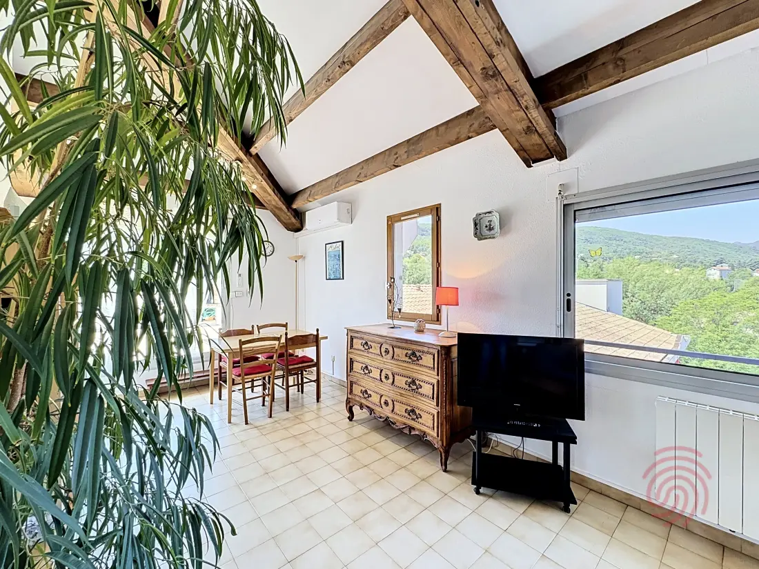 Location de Vacances Lamalou-les-Bains 222