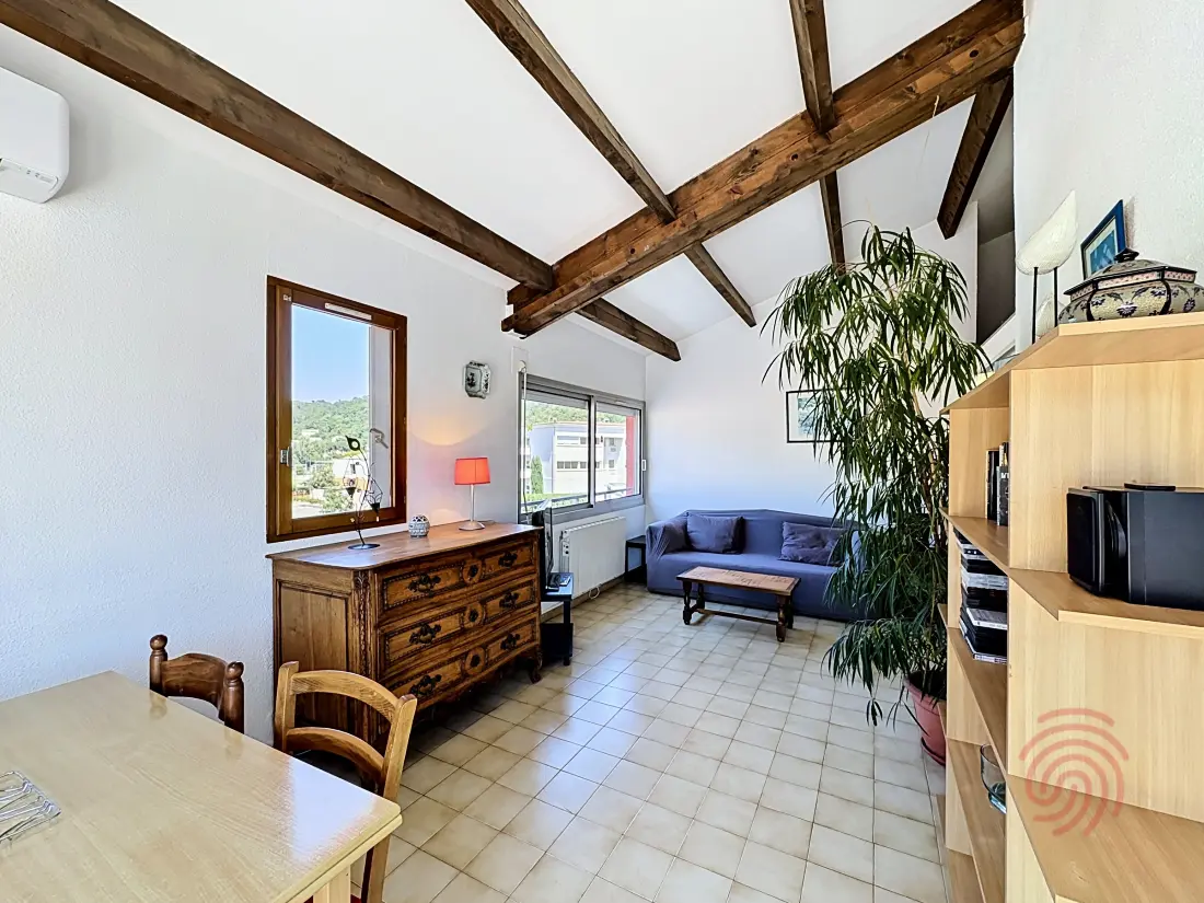 Location de Vacances Lamalou-les-Bains 222