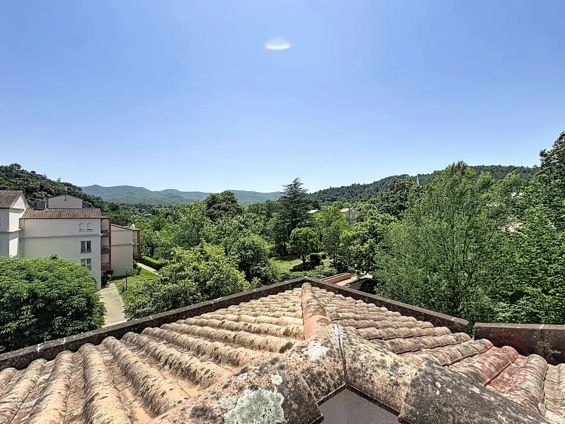 Location de Vacances Lamalou-les-Bains 222