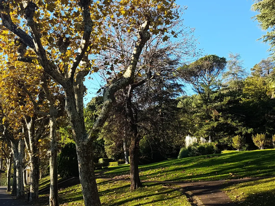 Location de Vacances Lamalou-les-Bains 24