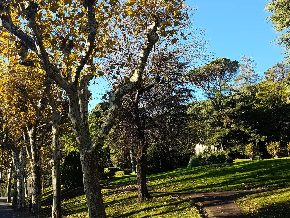 Location de Vacances Lamalou-les-Bains 40