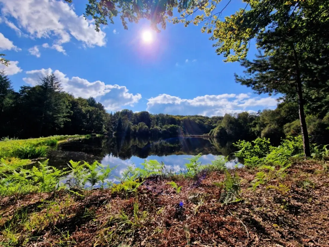 Camping Montard