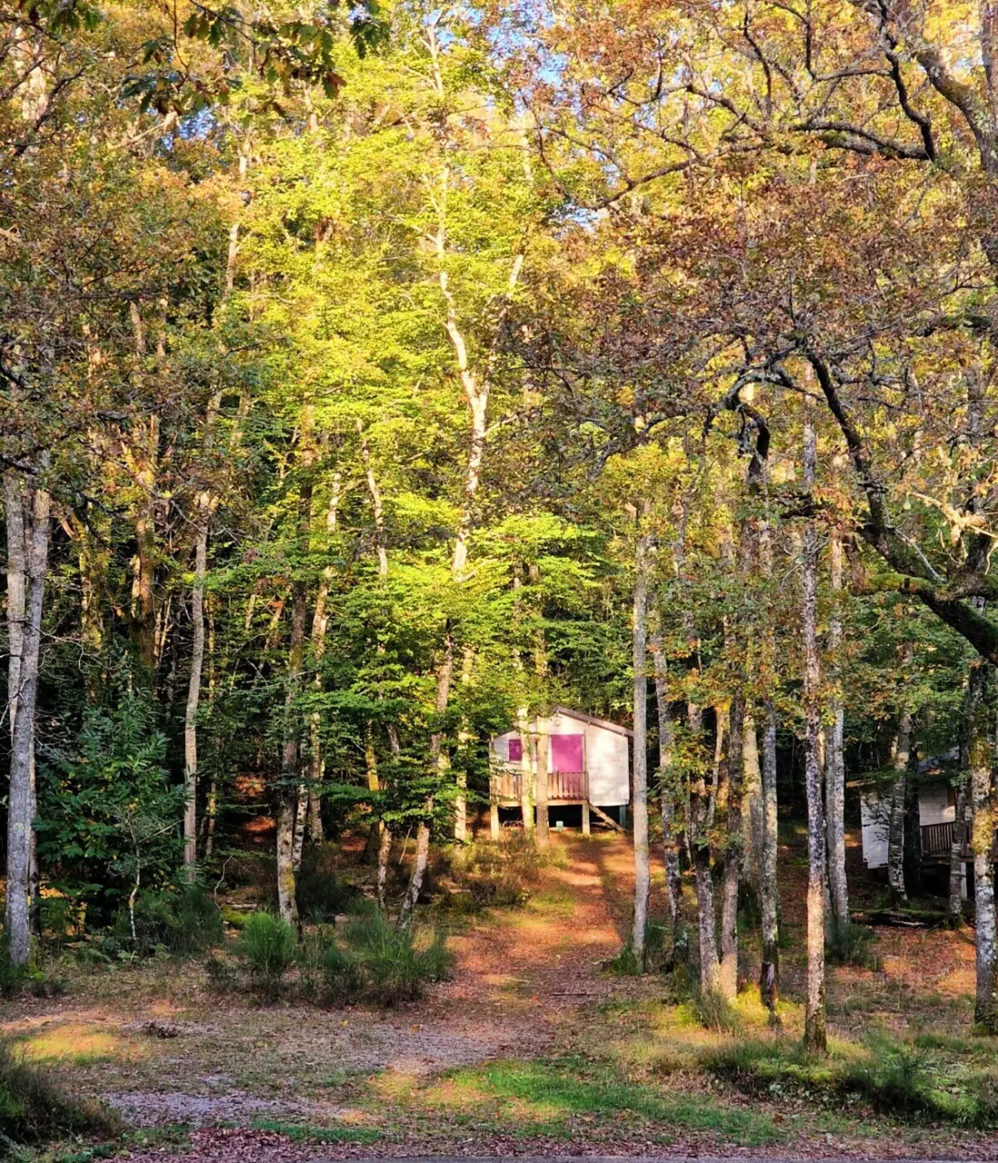 Camping Montard