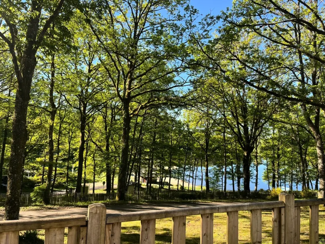 Camping Montard