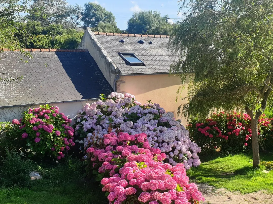 Maison de Vacances Lampaul-Ploudalmézeau