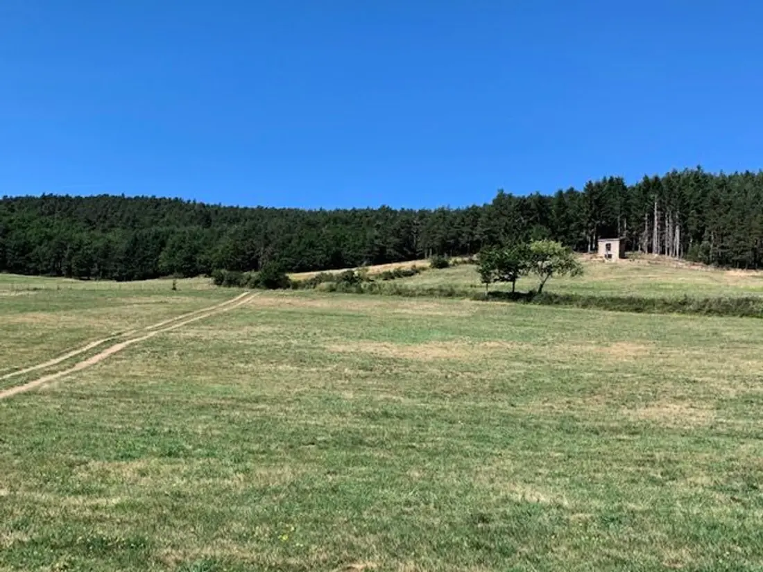 Maison de Vacances Langeac 3