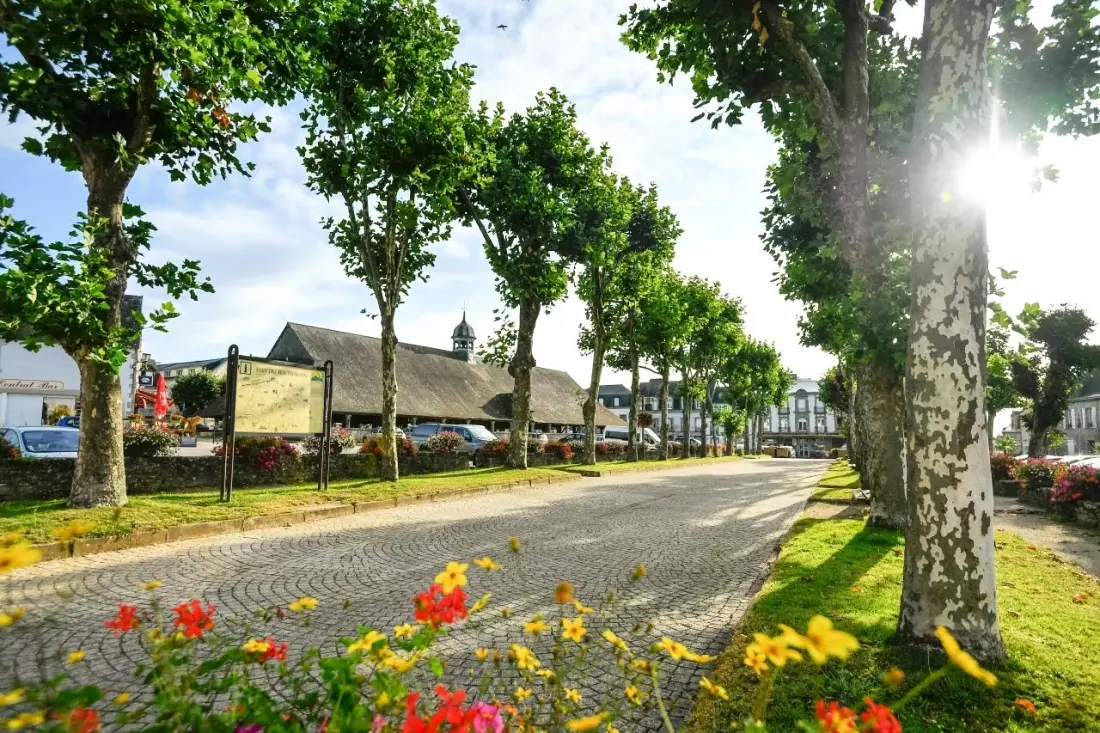 Gîte de France Le nid d'hirondelle 3 épis