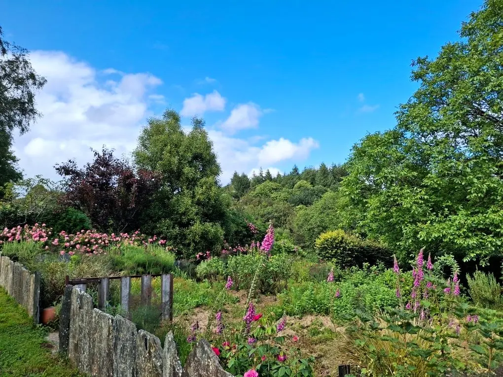 Gîte de France Le refuge des oiseaux 3 épis