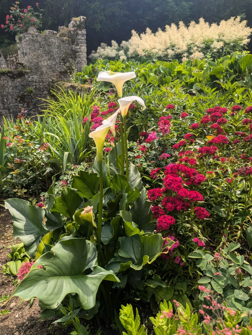 Gîte de France Gîte du séminaire 4 épis