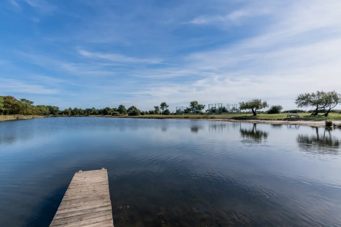 Capfun, 5 étoiles, 64 M² Avec Piscine Et Terrasse