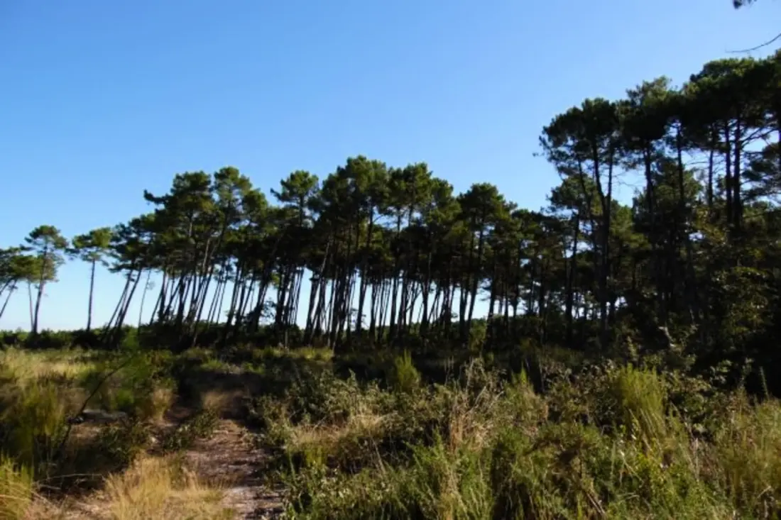 Maison Familiale Proche Plage Suzette