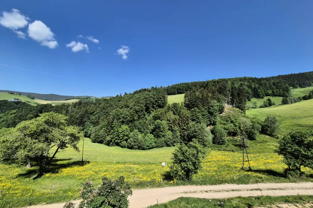 Gite Du Brézouard 7/15 Personnes