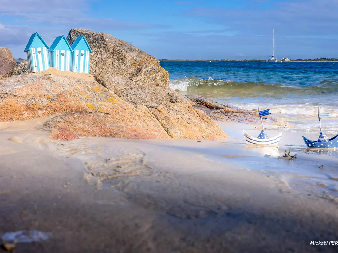 Location de Vacances Larmor-Plage 79