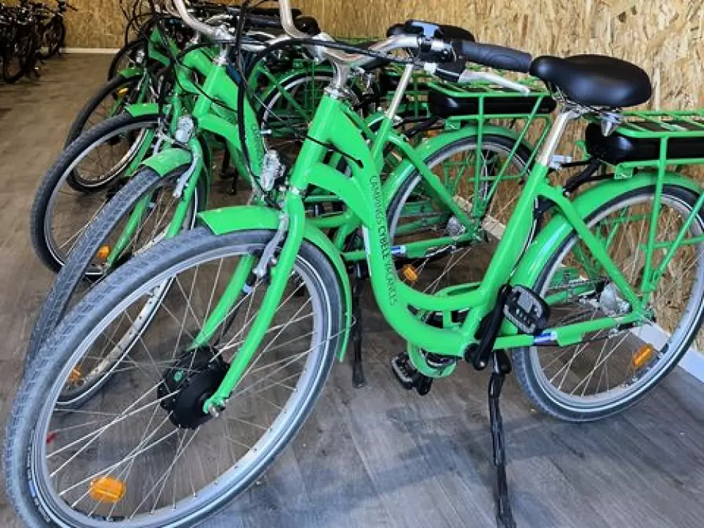 Camping Des Albères 4 étoiles★★★★