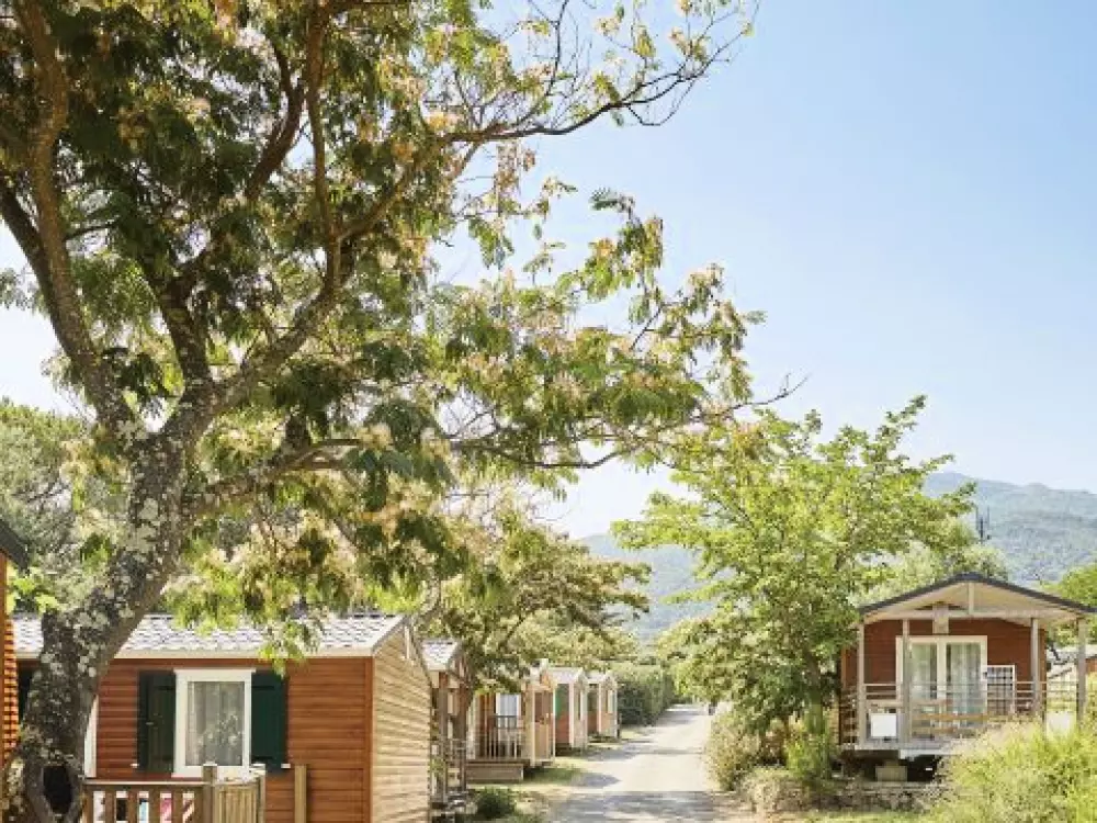 Camping Des Albères 4 étoiles★★★★