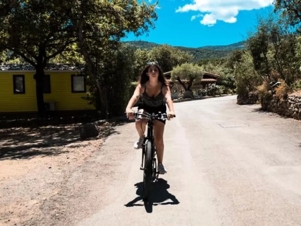 Camping Des Albères 4 étoiles★★★★