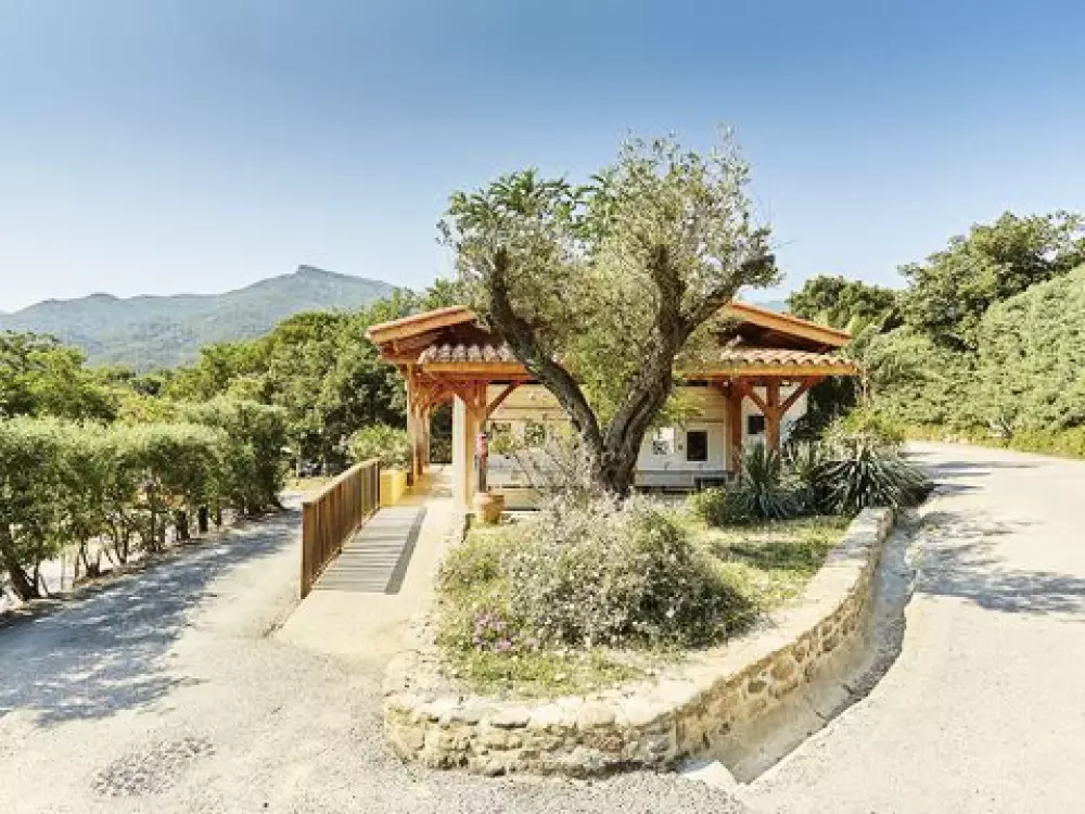 Camping Des Albères 4 étoiles★★★★