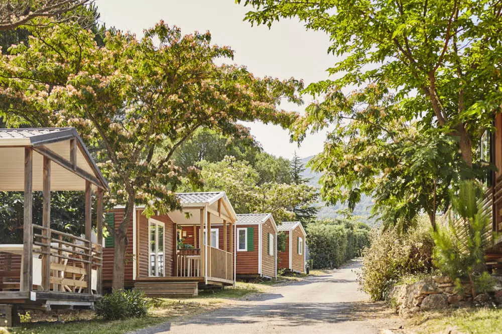Camping Les Albères 41 étoiles★