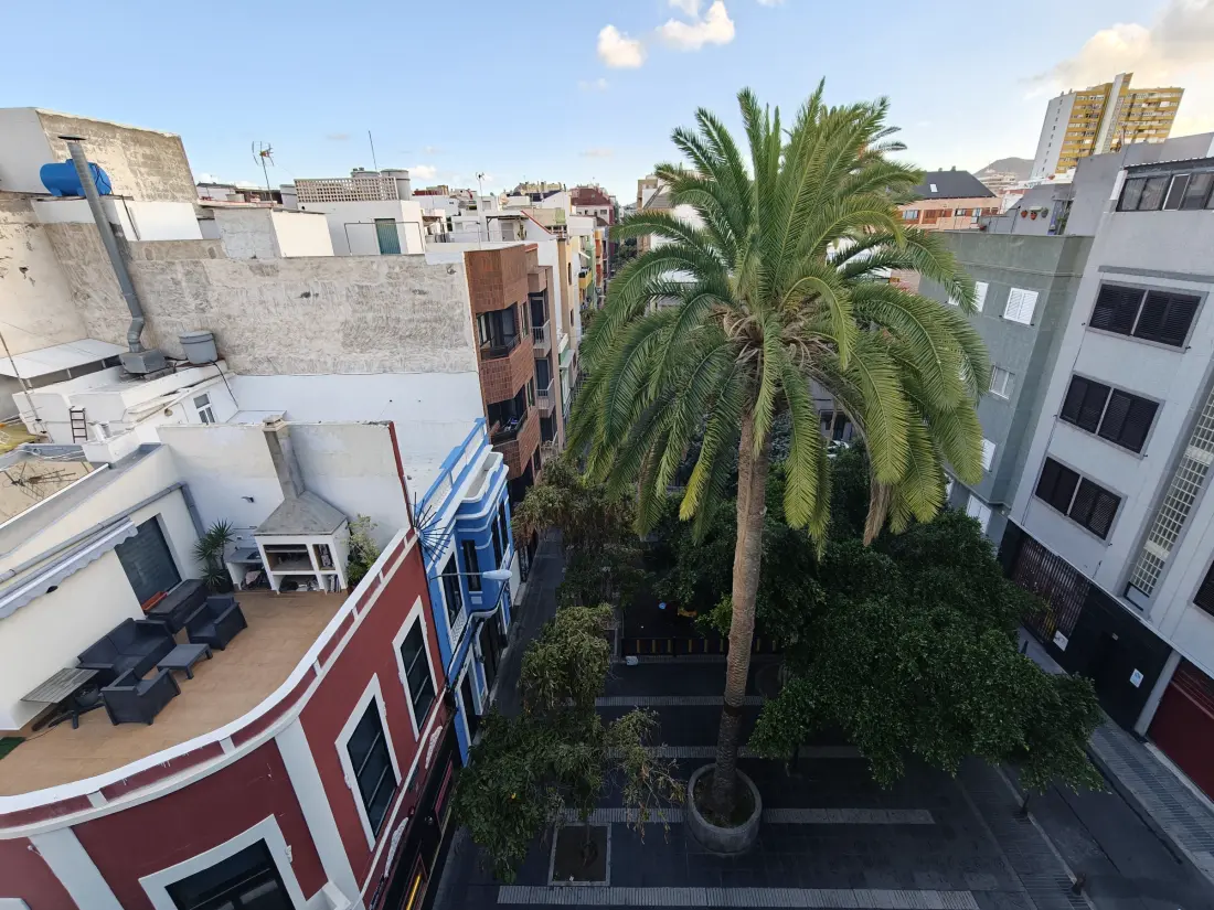 Location de Vacances Las Palmas de Gran Canaria 8