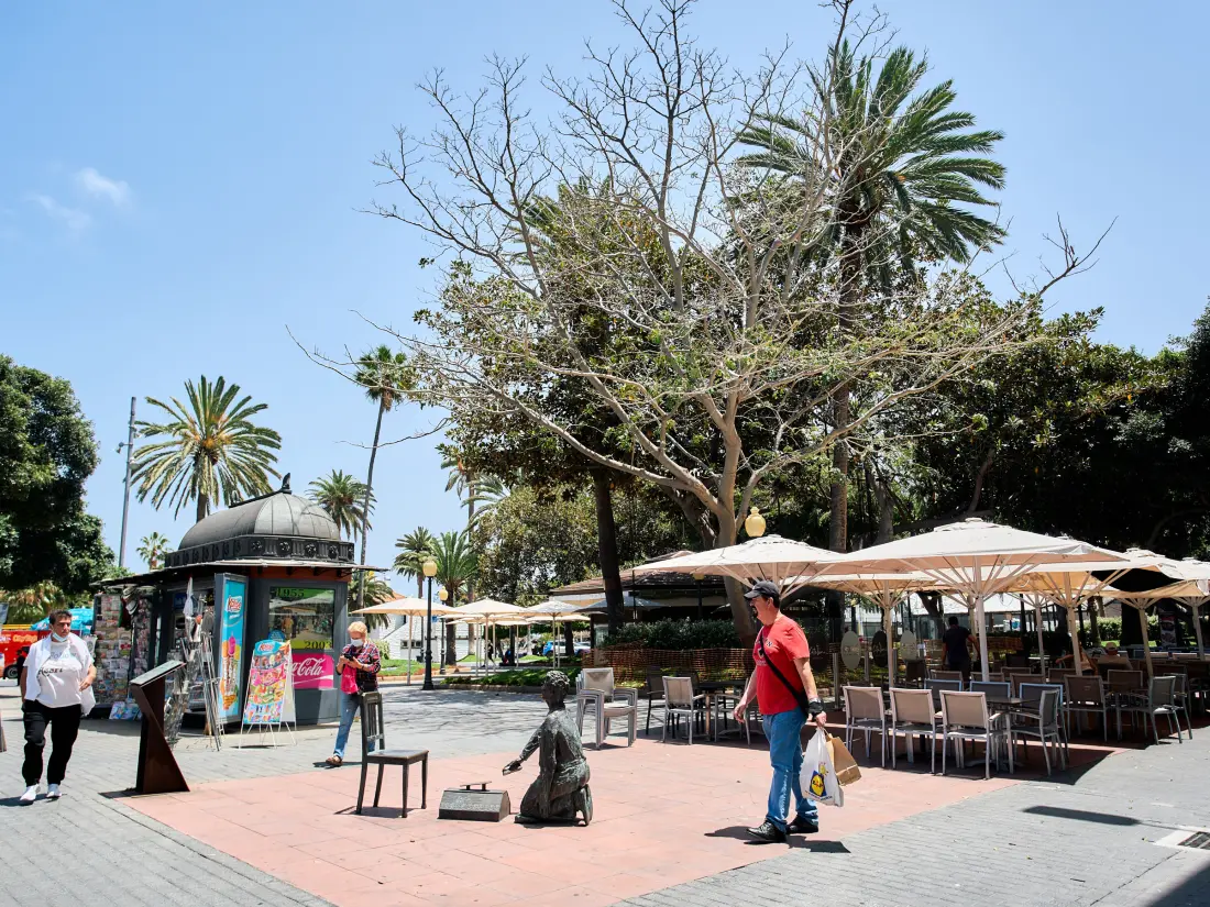 Maison de Vacances Las Palmas de Gran Canaria 11