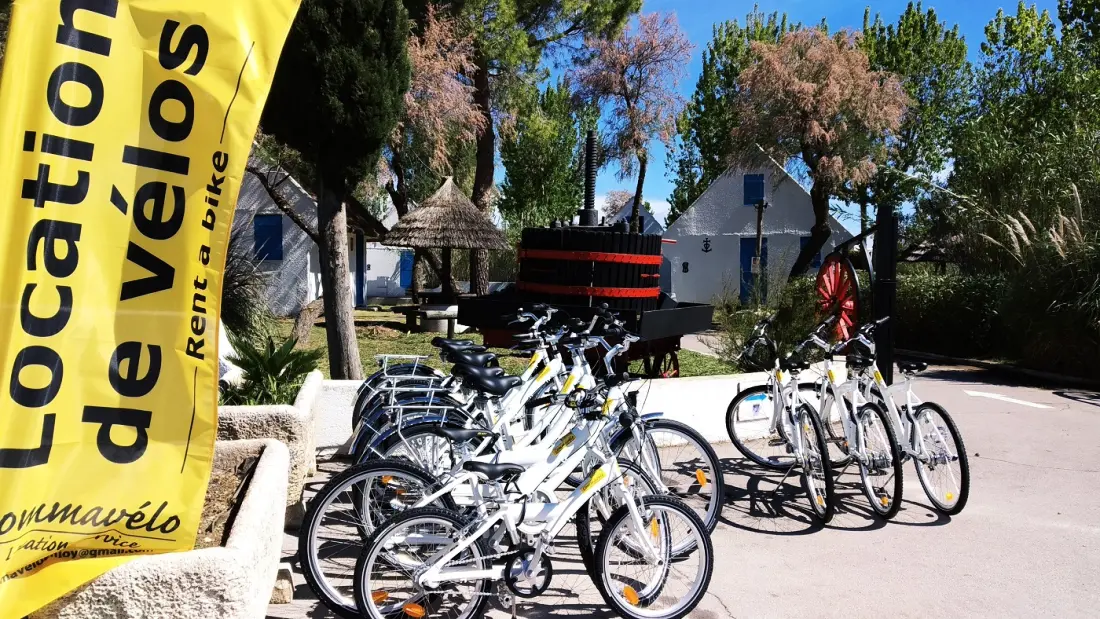 Camping Le Camarguais 4 étoiles★★★★