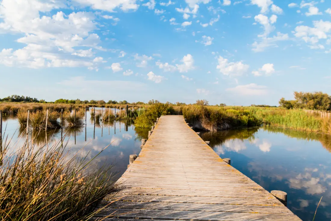 Camping Le Camarguais 4 étoiles★★★★