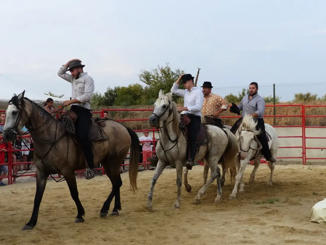 Camping Le Camarguais 4 étoiles★★★★